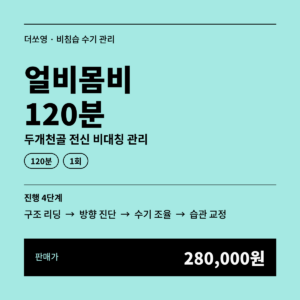 얼비몸비 120분 두개천골 전신 비대칭 관리